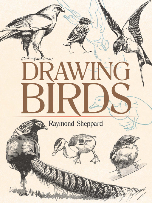 Title details for Drawing Birds by Raymond Sheppard - Wait list